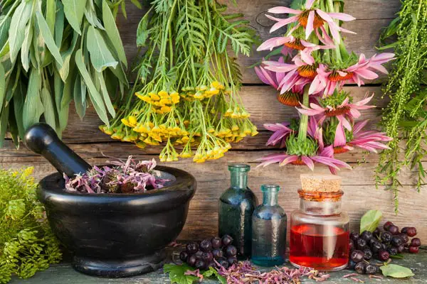 Herbal Treatments for fibromyalgia